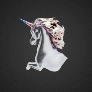 Enchanted Unicorn